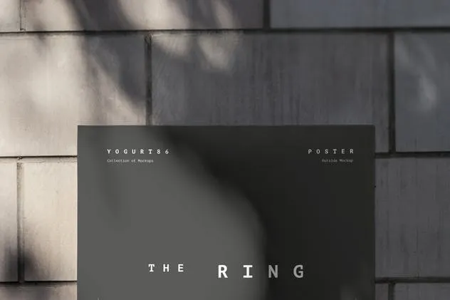 红砖墙海报张贴效果展示样机模板 Urban Poster Mock-up插图(10)