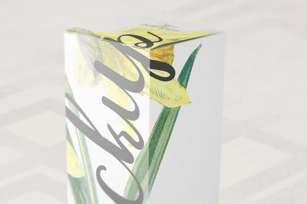 葡萄酒/饮料瓶包装纸盒样机9 Paper Box Mockup 09插图(6)