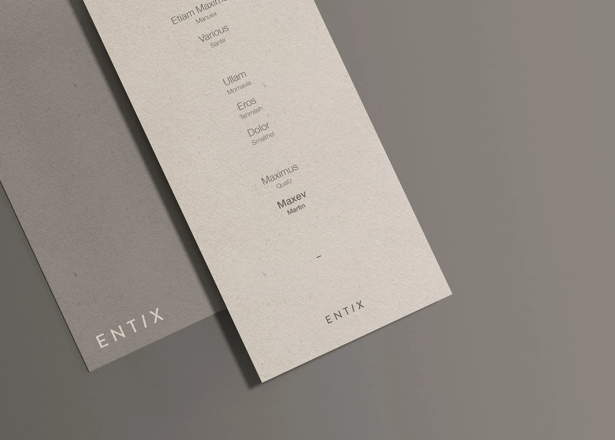 高端简约DL传单设计效果图样机模板 DL Flyer Mockup插图(1)