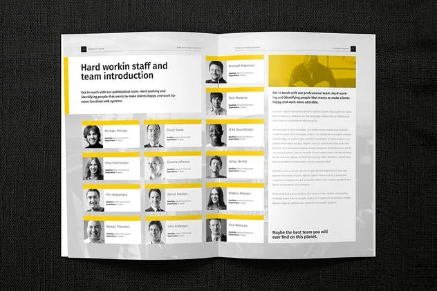 A4规格高端杂志样机模板 A4 Magazine Mock-up插图(5)