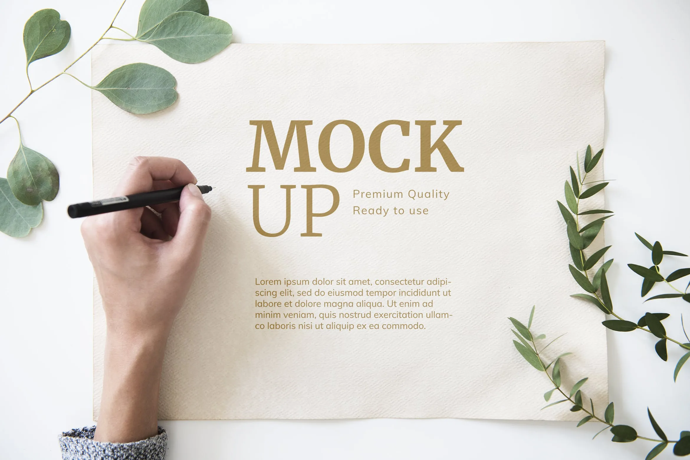 手绘插画/书法预览样机模板 Paper mockup插图