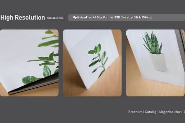 宣传册/小册子/目录设计预览样机素材库精选模板 Brochure / Booklet / Catalog Mock-Up PSD插图(5)