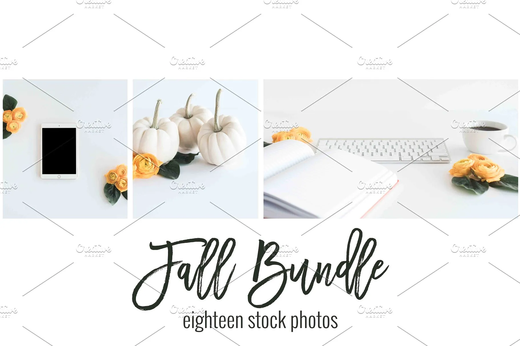 现代简约风办公场景样机 Fall Stock Photo Bundle插图(1)