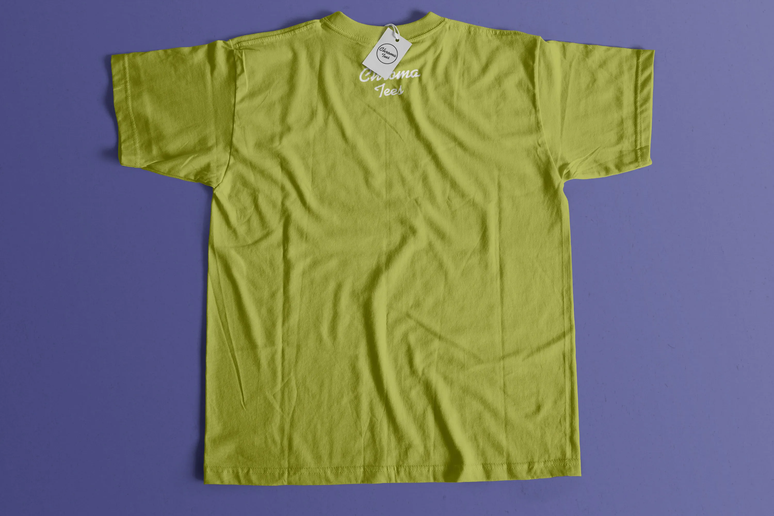 T恤设计背部效果图样机模板01 Back Tshirt Mockup 01插图