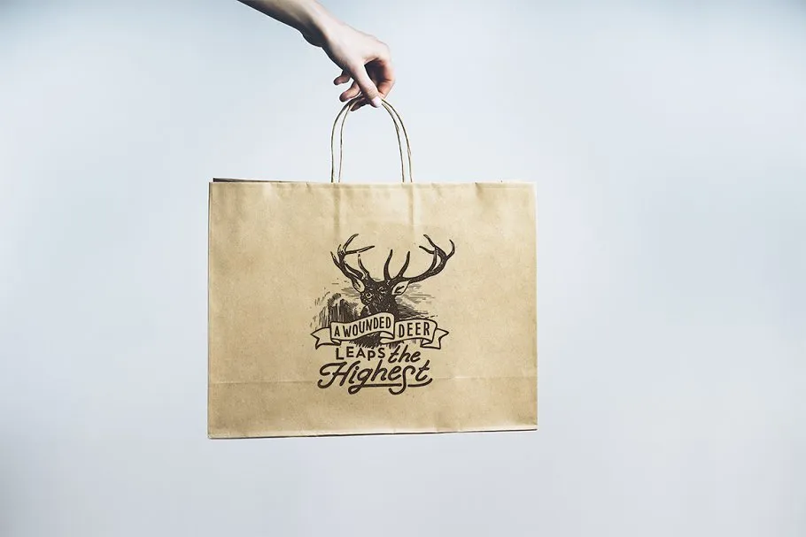 纸质购物袋样机模板 Shopping bag set插图(3)