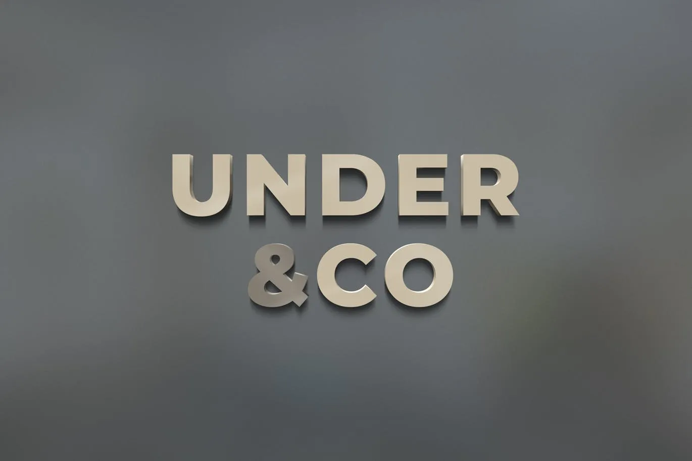 3D立体效果Logo设计预览样机模板 3D Logo Mockups插图(1)