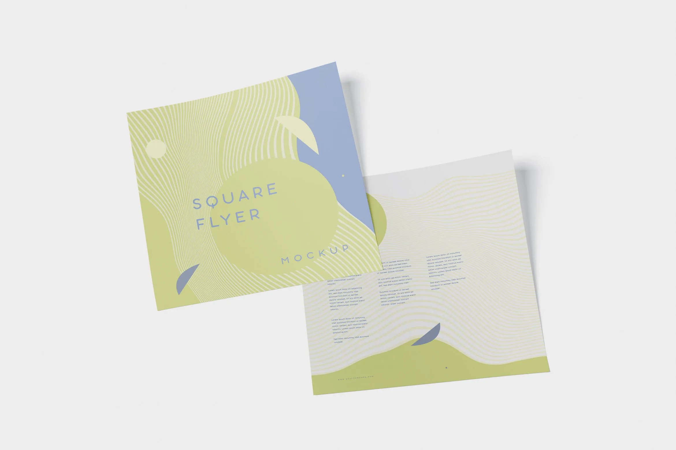 方形企业宣传单设计效果图样机 Square Flyer Mock-Up插图