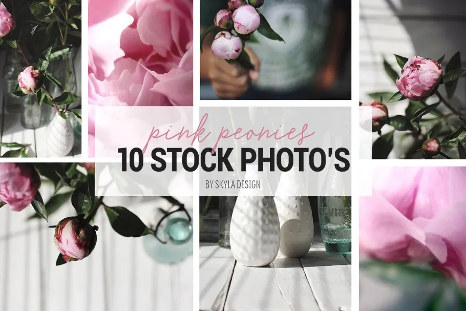 粉红色牡丹花卉装饰场景模板 Styled stock photos, Pink peonies