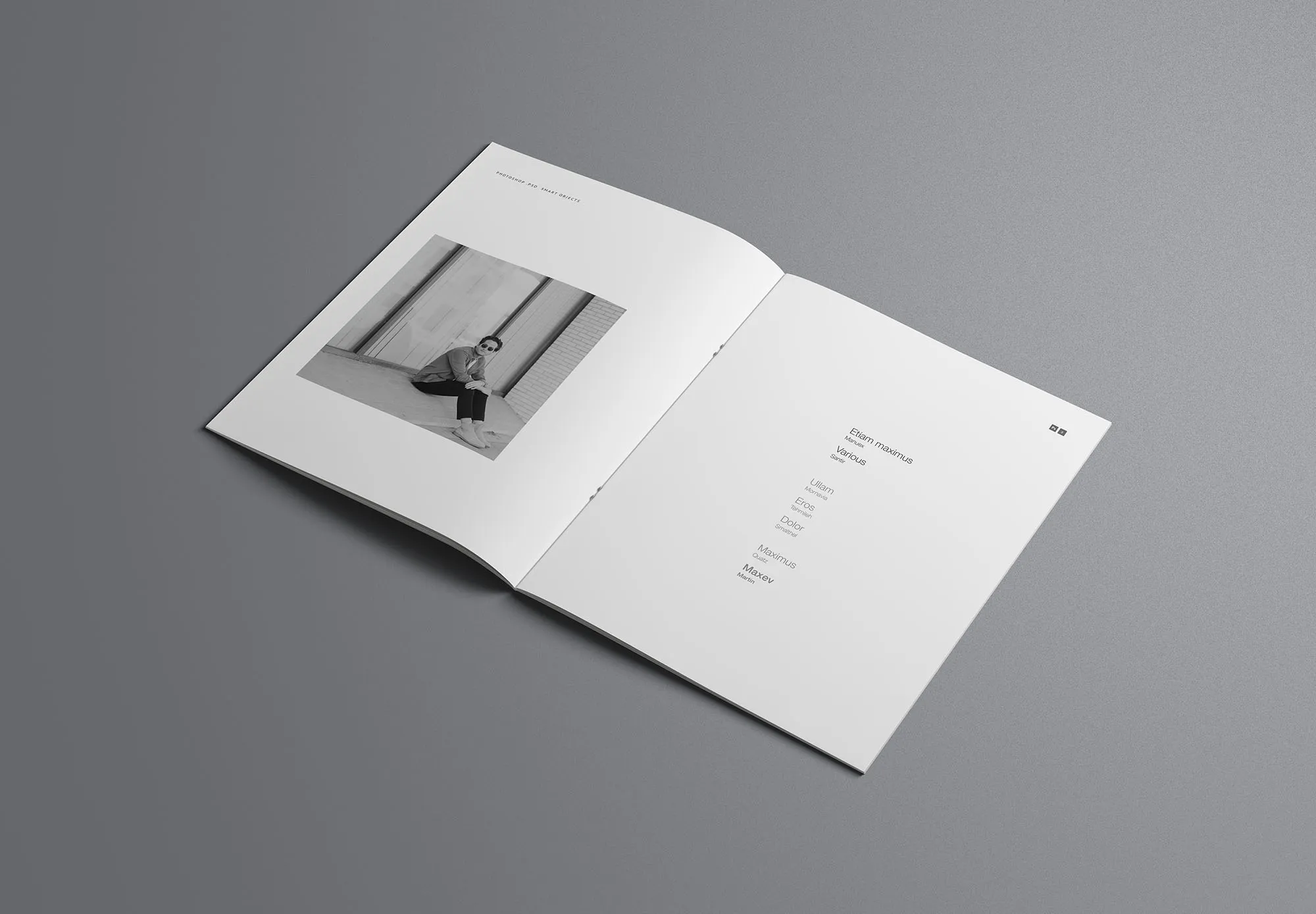 美国信纸尺寸企业宣传单印刷效果图样机PSD模板 US Letter PSD Brochure Mockup插图(2)