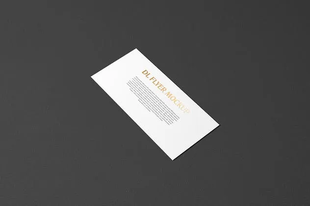 高端烫金DL传单铝箔冲压样机模板 DL Landscape Flyer With Foil Stamping Mockup插图(6)