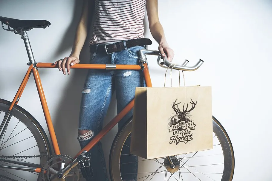 纸质购物袋样机模板 Shopping bag set插图