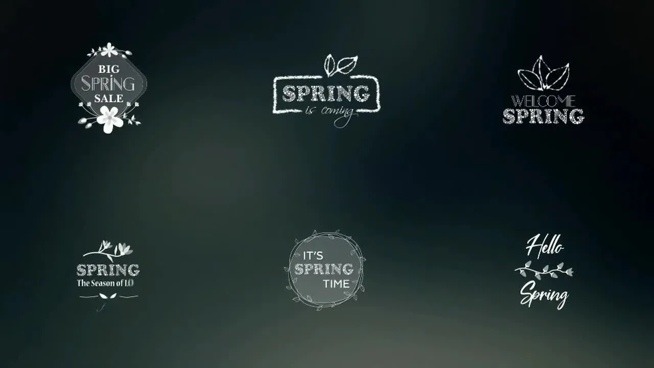 扁平弹簧徽标显示包像素设计精选AE模板