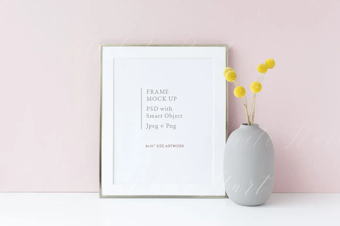 8×10银色金属框架画框模板 PSD/PNG 8×10 golden frame mock up – PSD/PNG插图