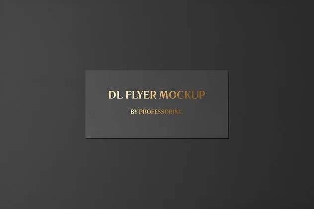 高端烫金DL传单铝箔冲压样机模板 DL Landscape Flyer With Foil Stamping Mockup插图(1)