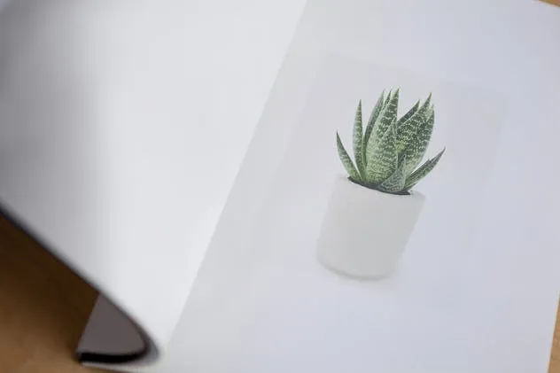 宣传册/小册子/目录设计预览样机素材库精选模板 Brochure / Booklet / Catalog Mock-Up PSD插图(6)