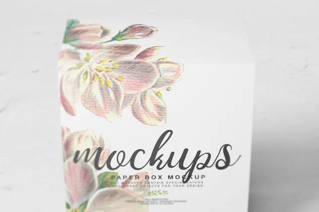 纸盒包装外观设计样机模板11 Paper Box Mockup 11插图(4)