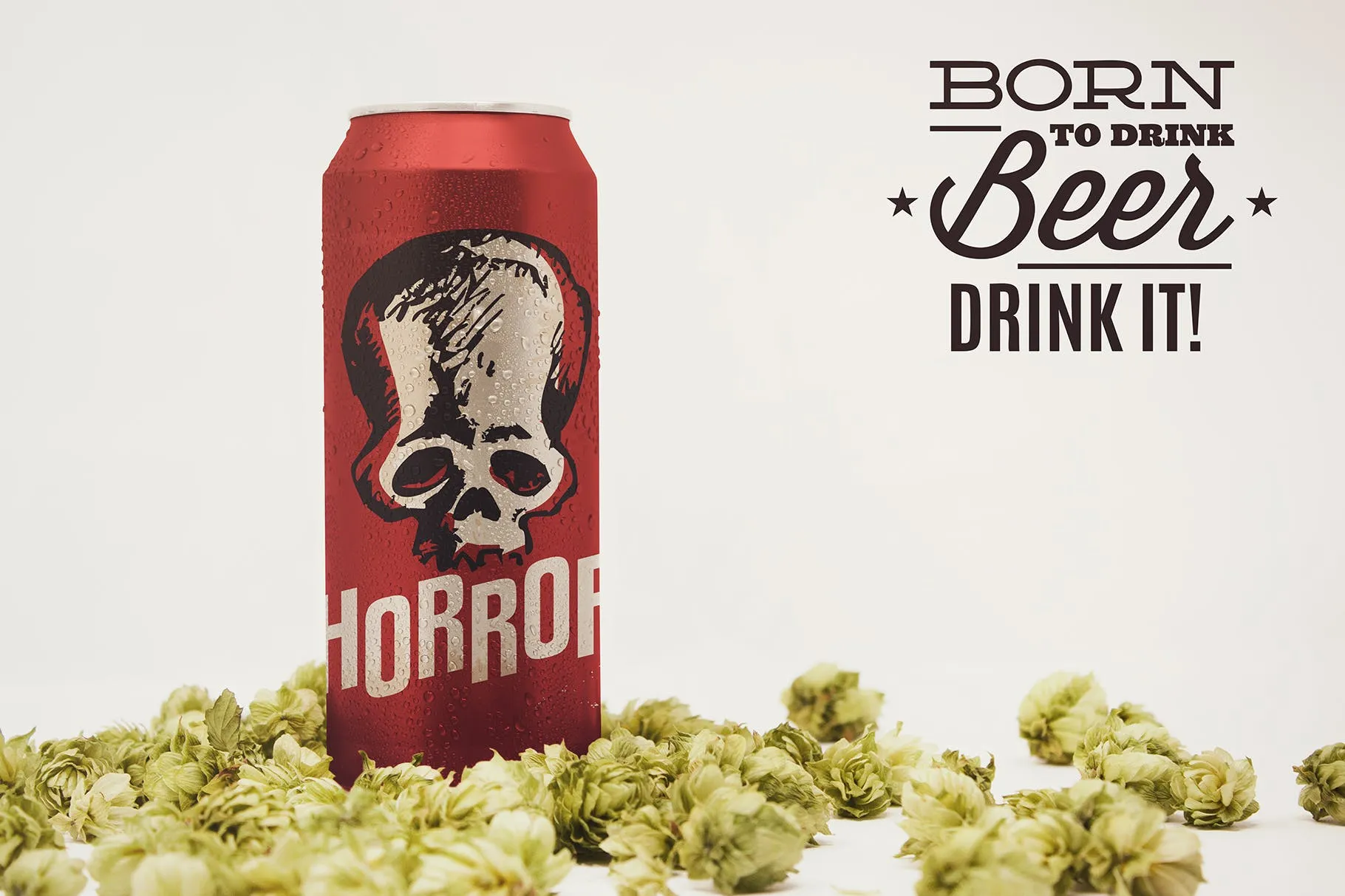 16oz啤酒罐易拉罐外观设计前视图素材库精选 Front 16oz Beer Can Mockup插图(1)