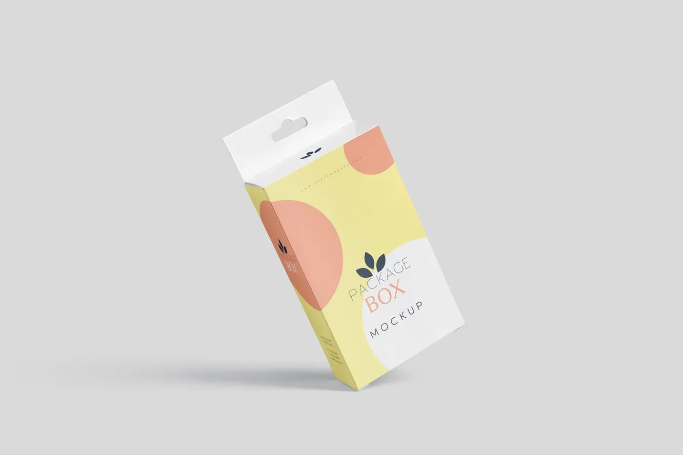 带挂耳设计扁平矩形产品包装盒效果图素材库精选 Package Box Mockup Set- Flat Rectangle with Hanger插图(6)