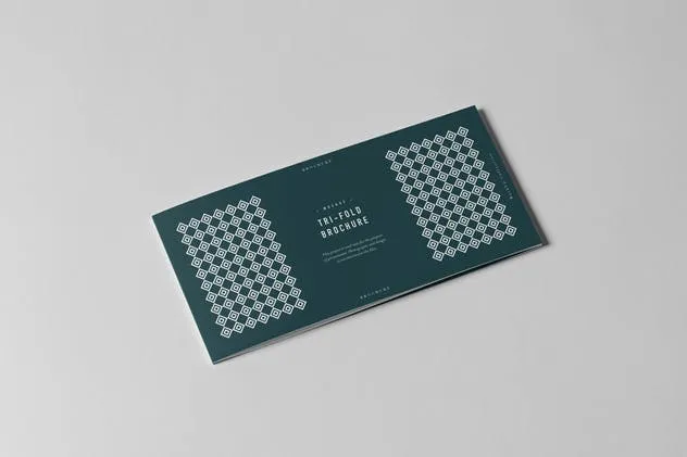 三折页长方形小册子样机 Tri-Fold DL Horizontal Brochure Mock-up插图(5)