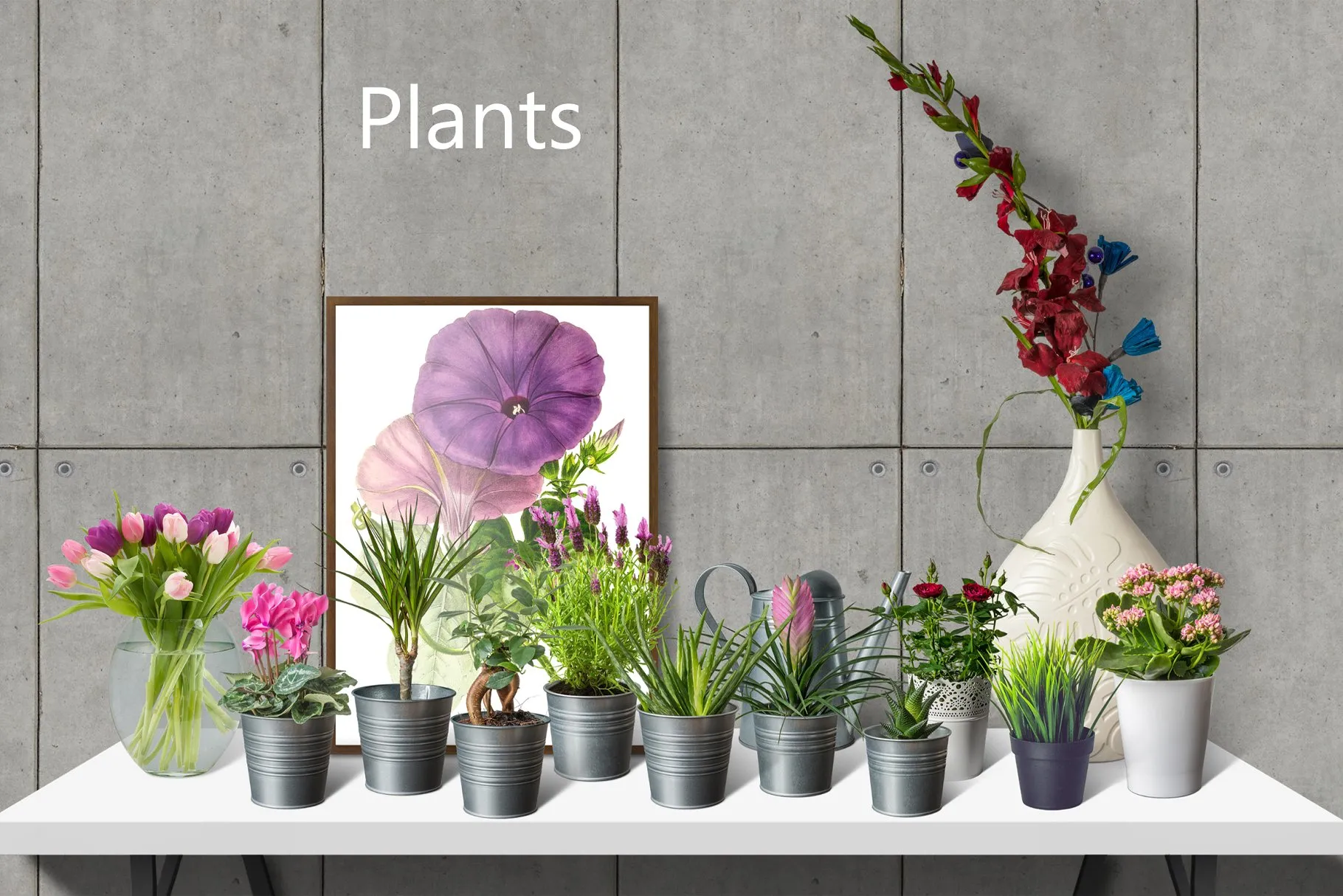 5K高清场景生成模板 SCENE CREATOR 5K Mockup(场景模板、海报、独立元素&背景)插图(14)