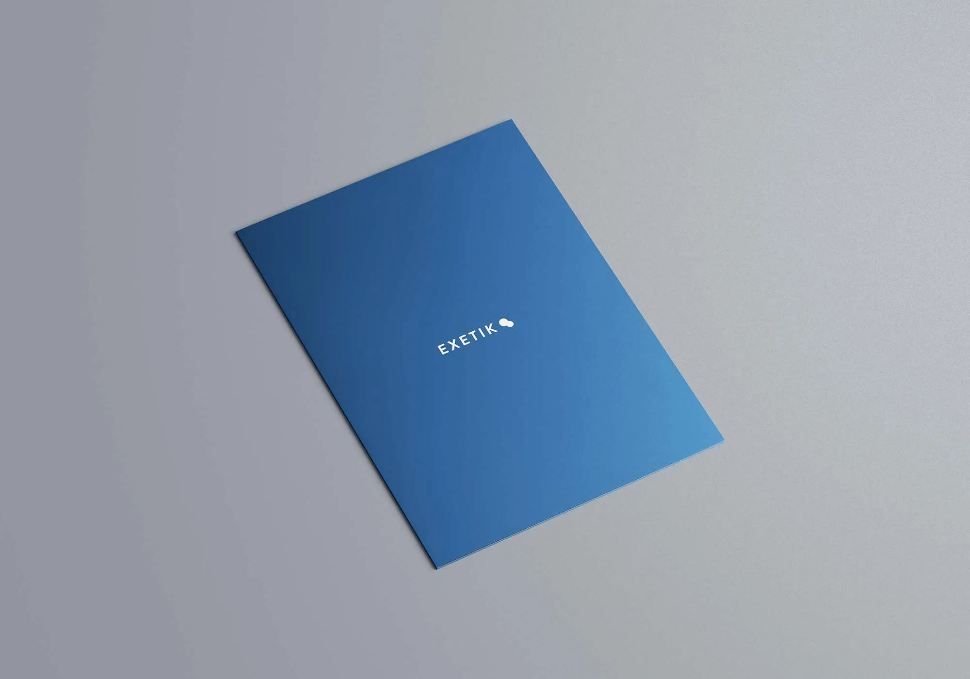 A4纸质文件夹设计样机模板 A4 Folder Mockup插图(2)