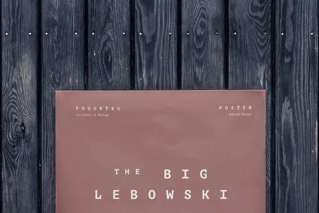 红砖墙海报张贴效果展示样机模板 Urban Poster Mock-up插图(9)