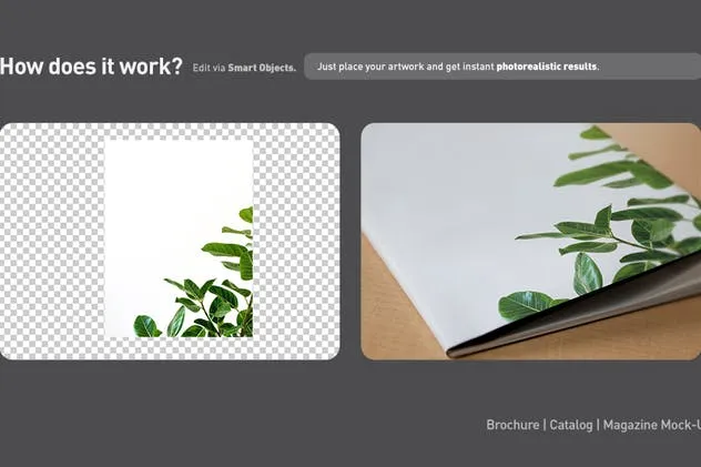 宣传册/小册子/目录设计预览样机素材库精选模板 Brochure / Booklet / Catalog Mock-Up PSD插图(4)