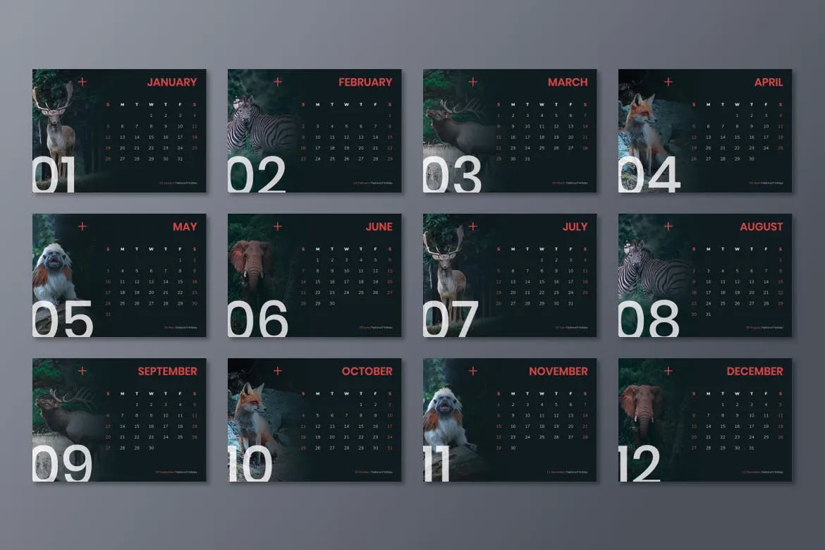 动物摄影主题2020款活页日历设计模板 Calendar 2020插图(4)