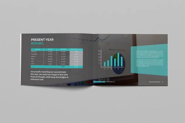部门/企业/行业年终报告画册设计模板 Annual Report插图(7)