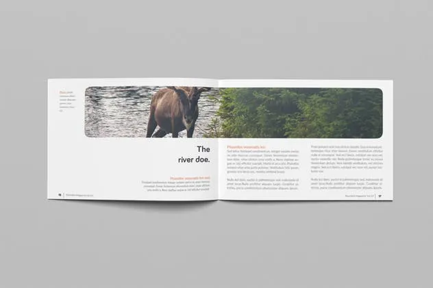 横向规格时尚摄影杂志画册设计 Rounded Landscape Magazine插图(8)
