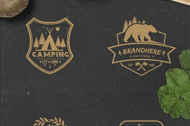 22枚欧美复古风格品牌Logo商标设计模板 22 Vintage Logos插图(1)