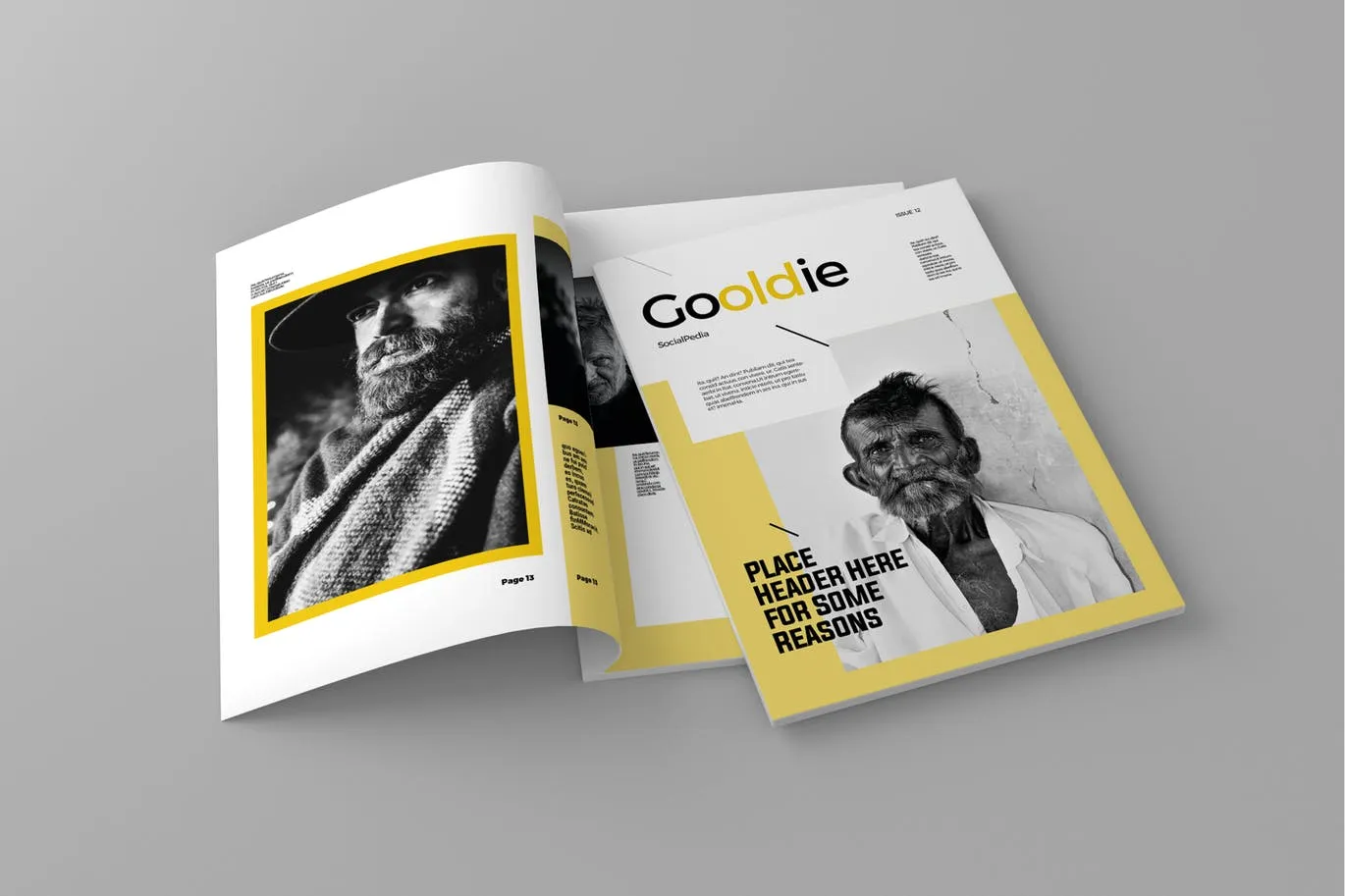 新闻采访/人物杂志设计INDD模板 Gooldie – Magazine Template插图