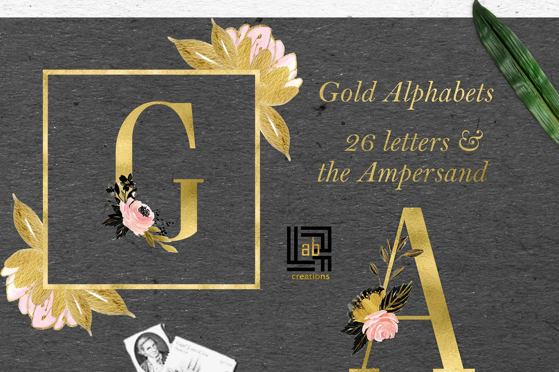 胭脂黑金水彩花卉剪贴画 Blush Gold Black. Floral graphics.插图(4)