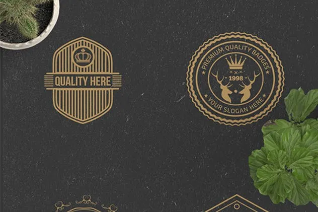 22枚欧美复古风格品牌Logo商标设计模板 22 Vintage Logos插图(6)