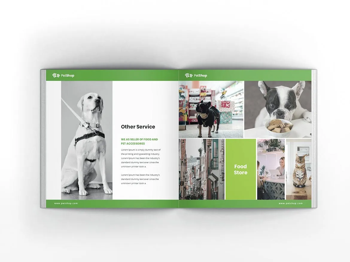 宠物店/宠物医院方形宣传册设计模板 Pet Shop Square Brochure Template插图(4)