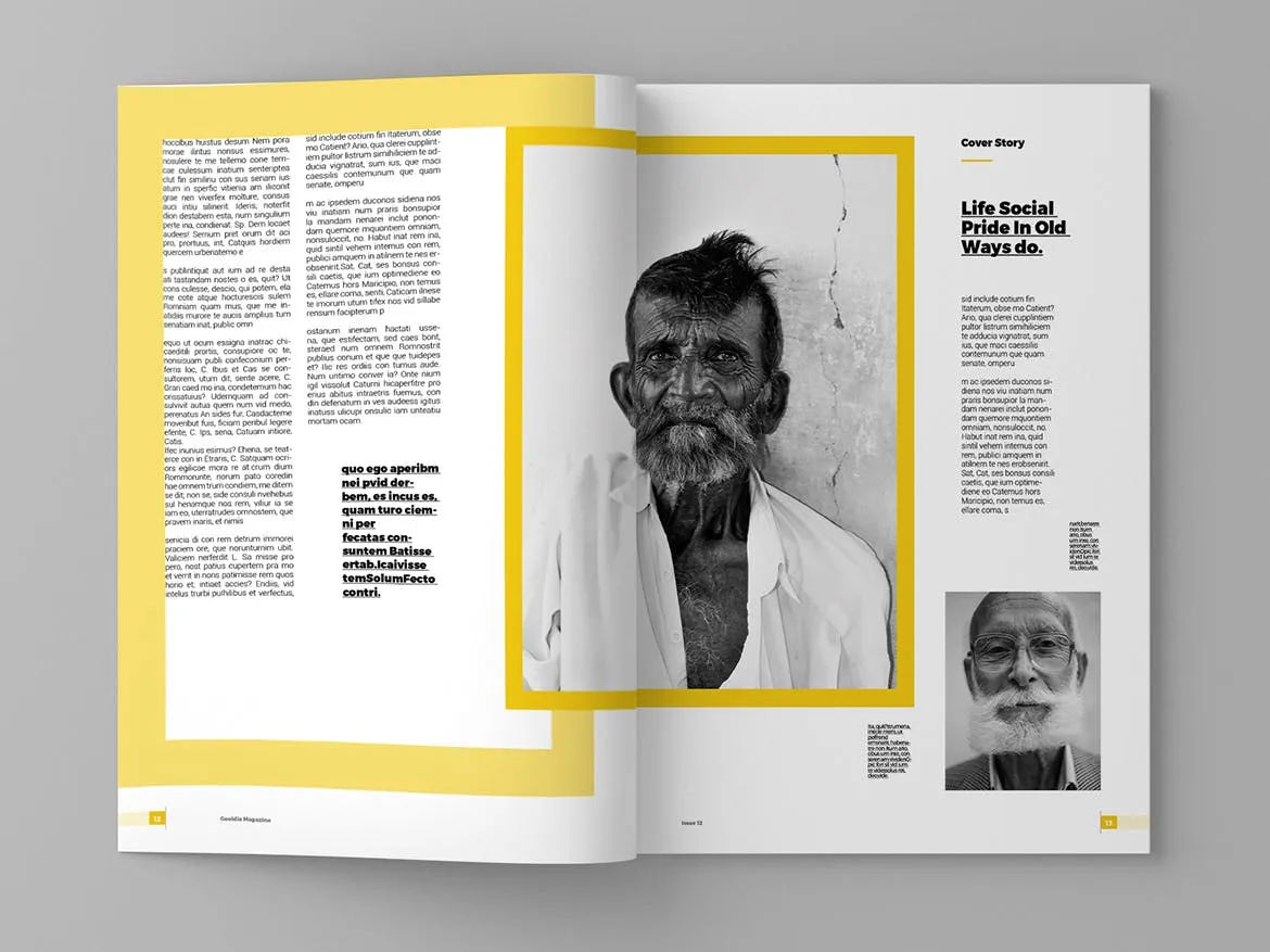 新闻采访/人物杂志设计INDD模板 Gooldie – Magazine Template插图(7)