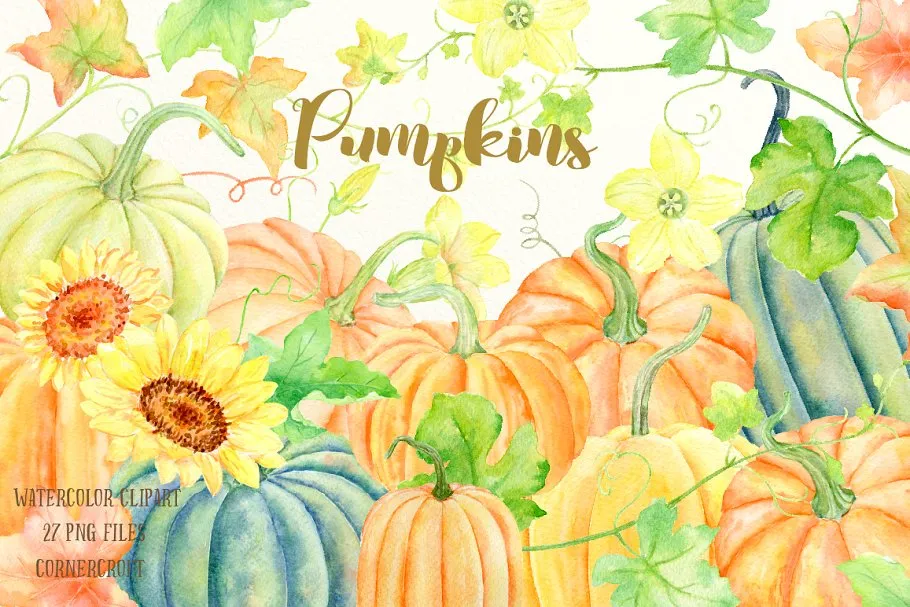 南瓜（藤、叶子amp;花）水彩剪贴画、纹理 Watercolour Clipart Pumpkins