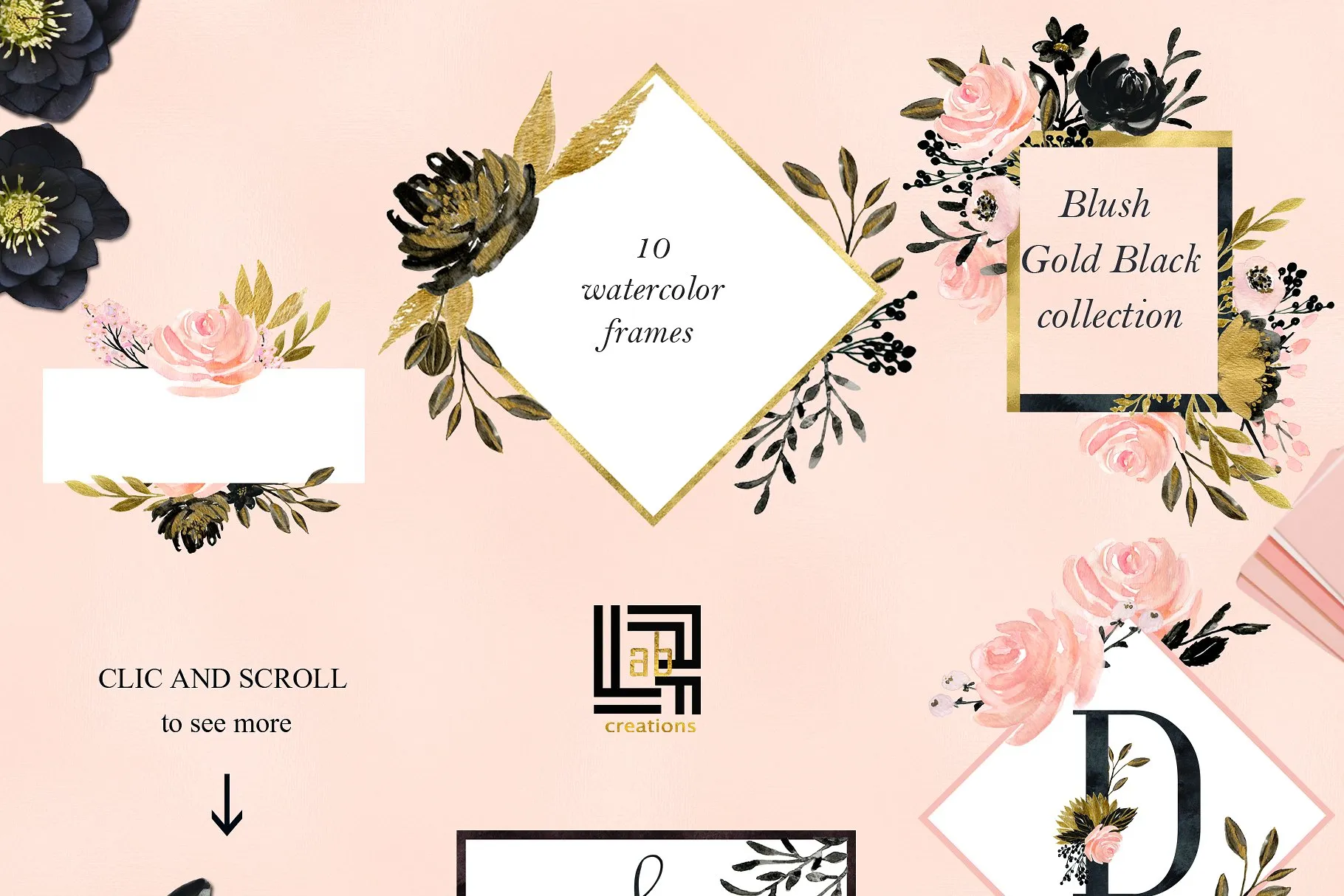胭脂黑金水彩花卉剪贴画 Blush Gold Black. Floral graphics.插图(9)