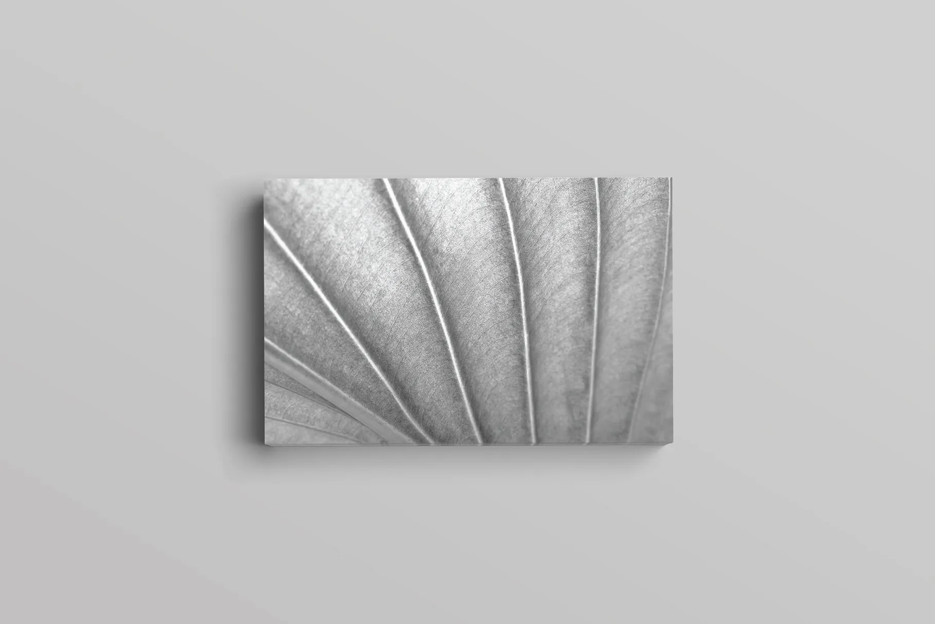 极简主义设计风格企业名片设计模板 Sonneth Business Card Template插图(3)