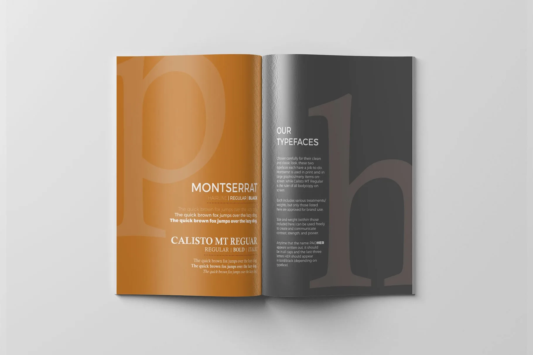 品牌风格指南的杂志模板下载 Branding Style Guide Template [ai,psd,indd]插图(7)