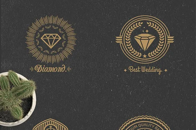 22枚欧美复古风格品牌Logo商标设计模板 22 Vintage Logos插图(5)