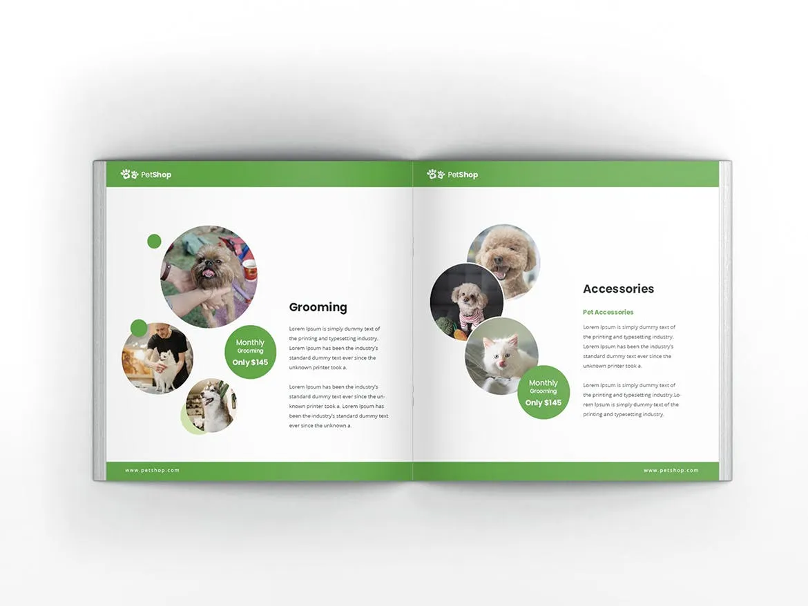 宠物店/宠物医院方形宣传册设计模板 Pet Shop Square Brochure Template插图(5)