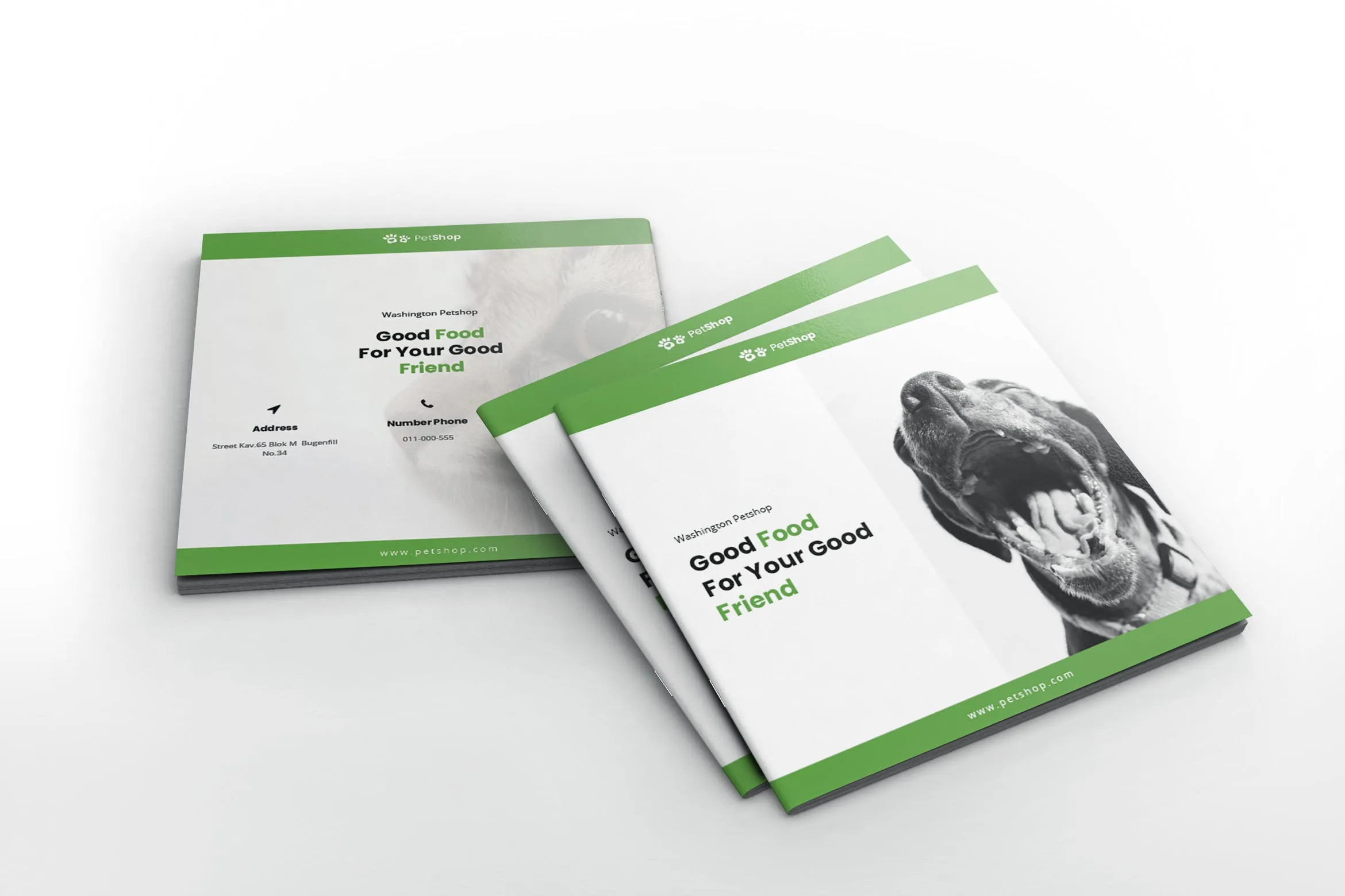 宠物店/宠物医院方形宣传册设计模板 Pet Shop Square Brochure Template插图